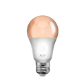 Lights