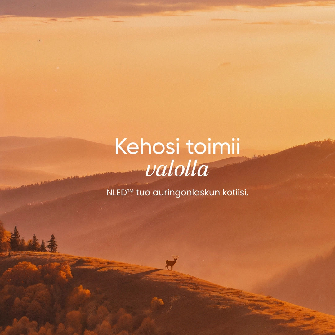 NLED™ Sunset